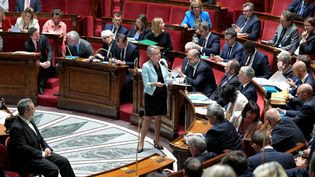 Réforme des retraites : Elisabeth Borne dénonce "la démagogie" des oppositions qui veulent examiner la proposition de loi Liot