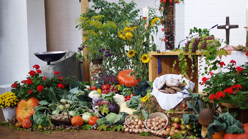 34+ Gambar Dekorasi Taman Buah Dan Sayur