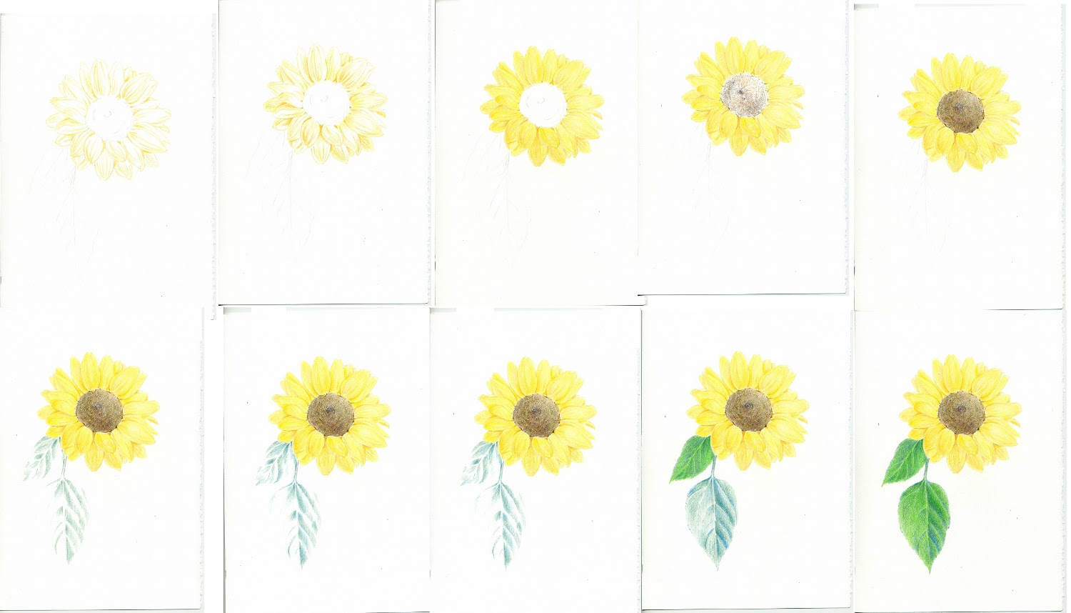 ひまわり イラスト 描き 方 100 で最高の画像