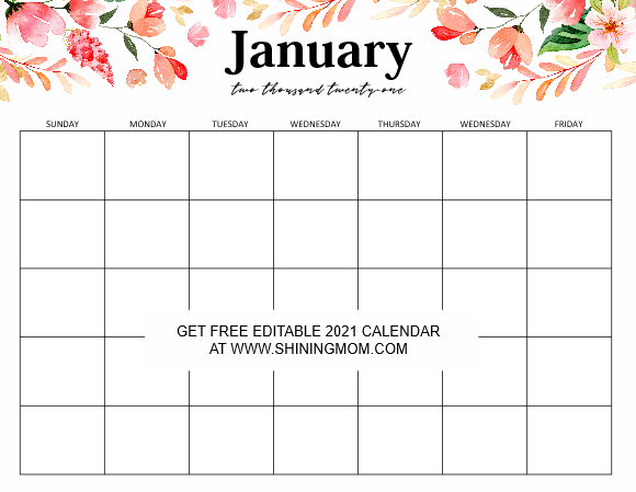 Printable blank monthly calendar template for 2021 with large squares in landscape layout. Free Fully Editable 2021 Calendar Template In Word