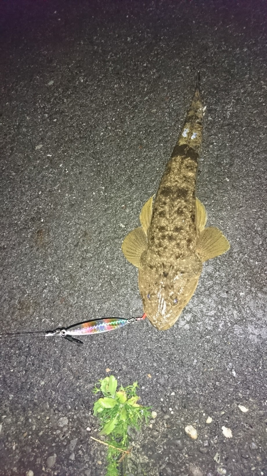 最高メタルジグ 夜 すべての魚の画像