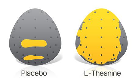 From dull to bright with L-Theanine