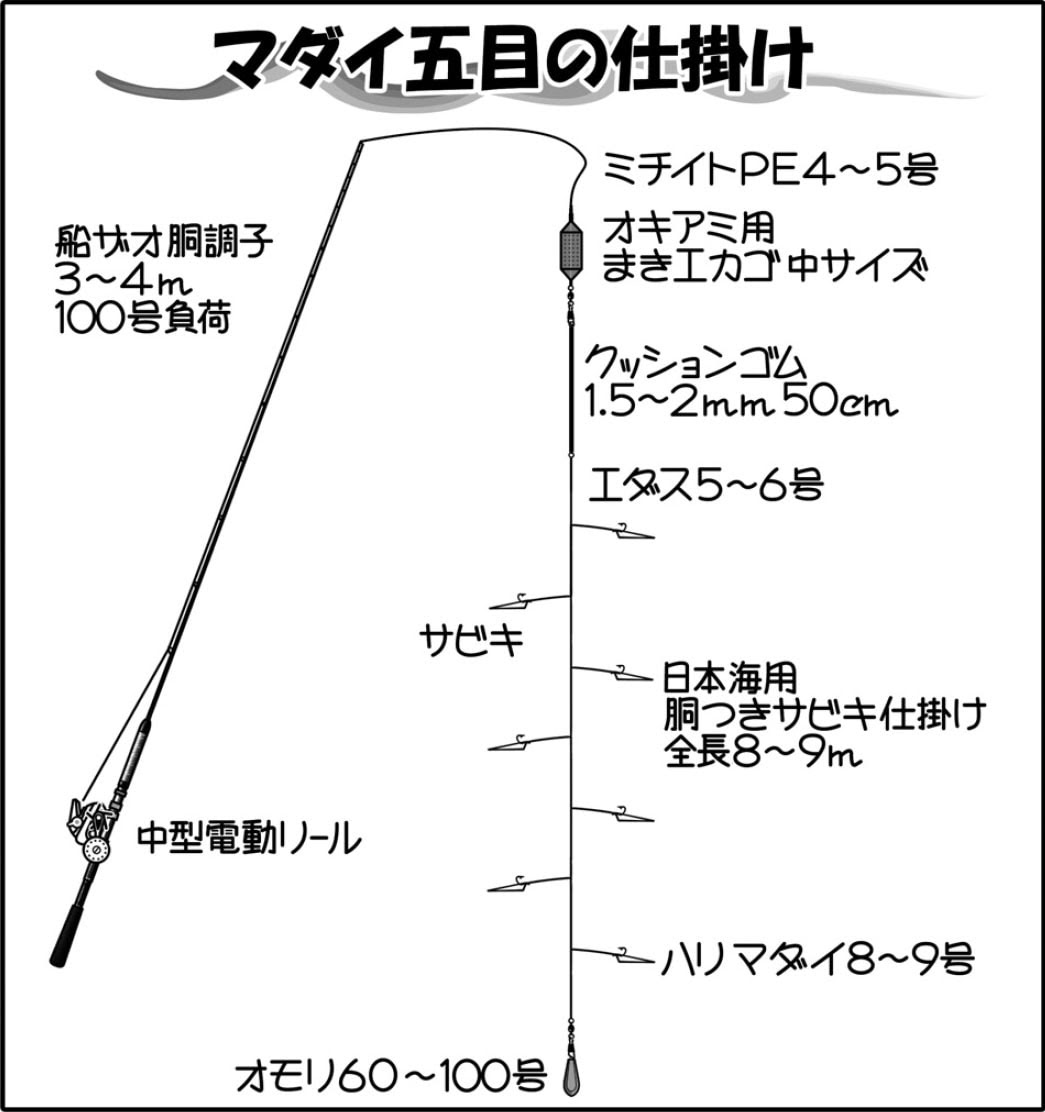 50 真鯛 釣り の 仕掛け すべての魚の画像