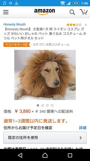 コレクション アマゾン Cm 犬 ライオン 俳優 アマゾン Cm 犬 ライオン 俳優 あなたが恋しいアニメ画像