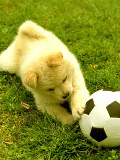 ラブリーサッカー 可愛い 壁紙 最高の壁紙hd