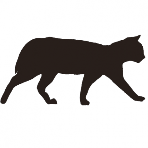 美しい花の画像 最高かつ最も包括的な猫 歩く イラスト