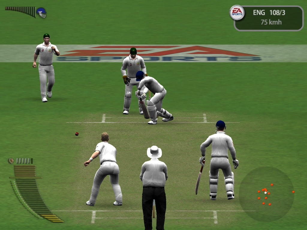 Cricket 2005 | A Force for Good : classic PC gaming