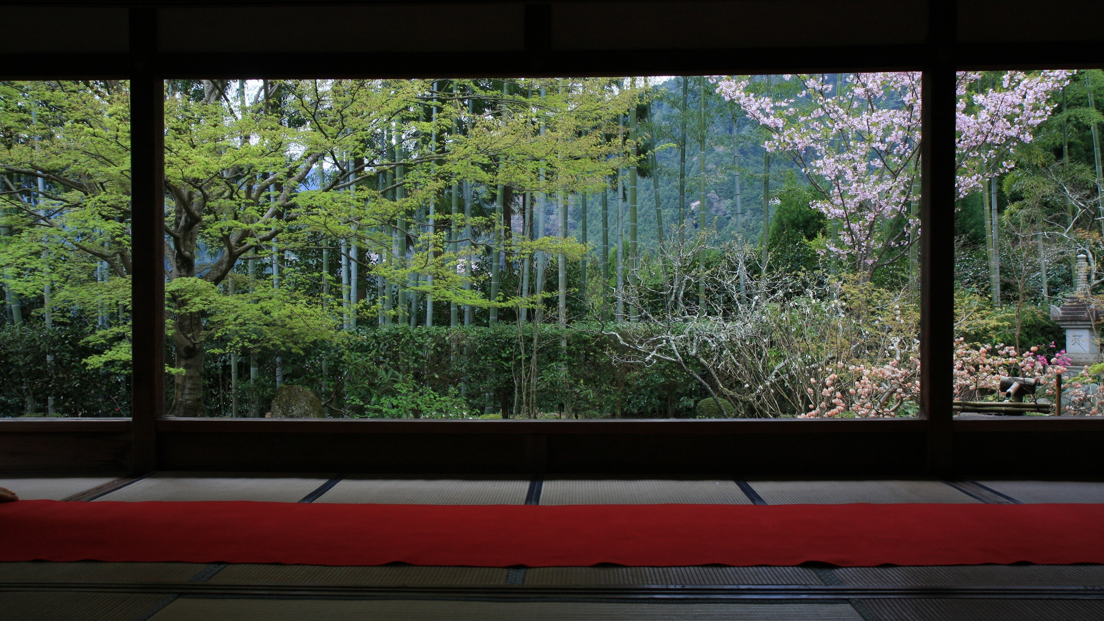 元のデスクトップ Pc 壁紙 4k アニメ画像