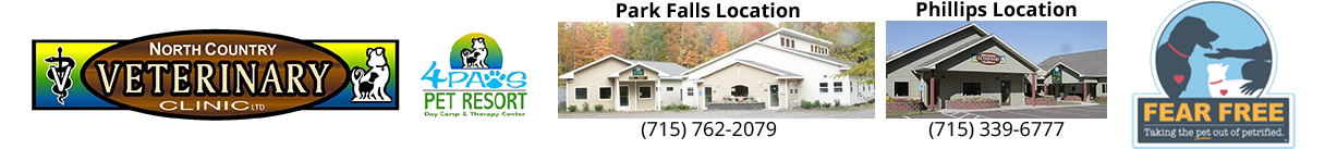 Maybe you would like to learn more about one of these? 4 Paws Pet Resort Day Camp Therapy Center Veterinarian In Phillips Wi North Country Vet Clinic Ltd