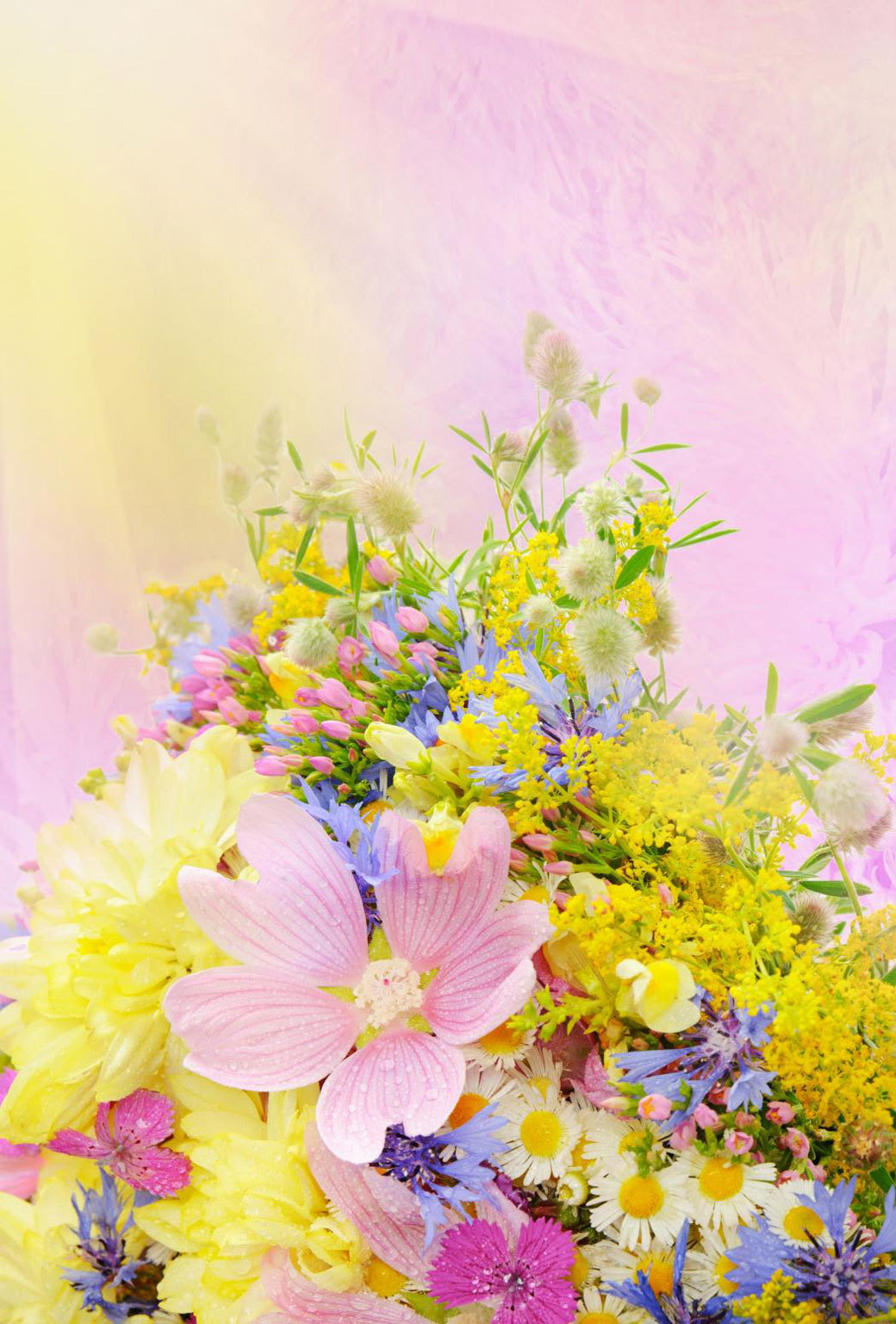 すべての花の画像 ラブリースマホ 壁紙 春