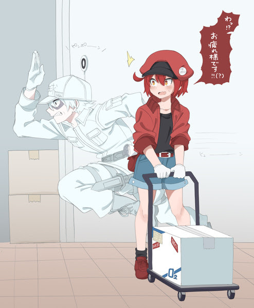 無料イラスト画像 ベスト50 はたらく 細胞 イラスト