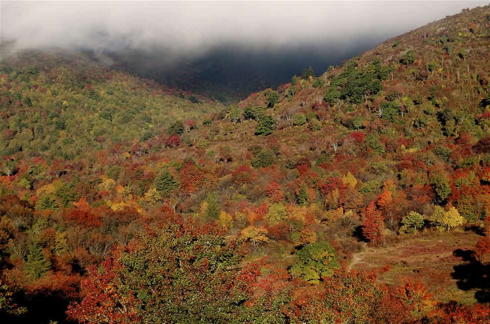 Autumn in North Carolina, Graveyard Fields from Blue Ridge Parkway