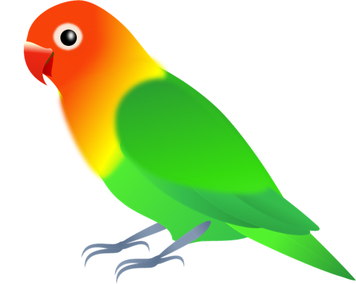 最も好ましい オカメインコ イラスト フリー オカメインコ イラスト フリー 素材 Saikonomuryoking