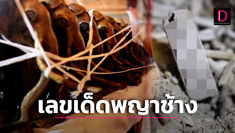 ส่องเลขเด็ด พญาช้างเอกทันต์ กับเรื่องเล่าขนลุกซู่ ช้างในตำนานผู้ยิ่งใหญ่ | เดลินิวส์