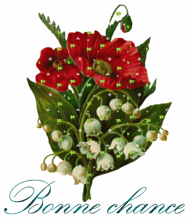 Idees Fantastiques Gif Bonne Chance Examen Abdofolio