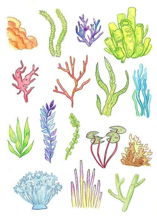 900x900 realistic paintings of coral reef coral reef painting. The Best Free Underwater Watercolor Images Download From 131 Free Watercolors Of Underwater At Getdrawings