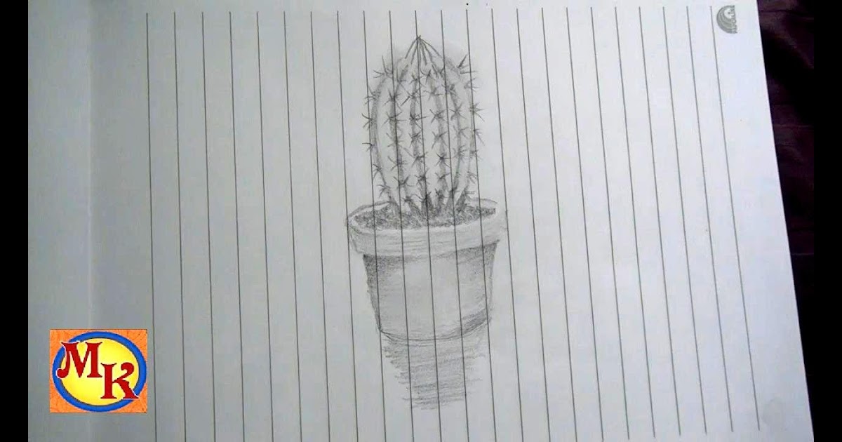 Gambar Sketsa Bunga  Kaktus  Gambar Bunga 