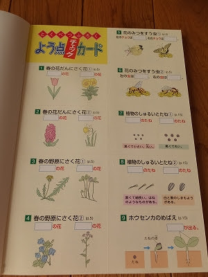 無料印刷可能小学3年理科 子供のための最高のぬりえ