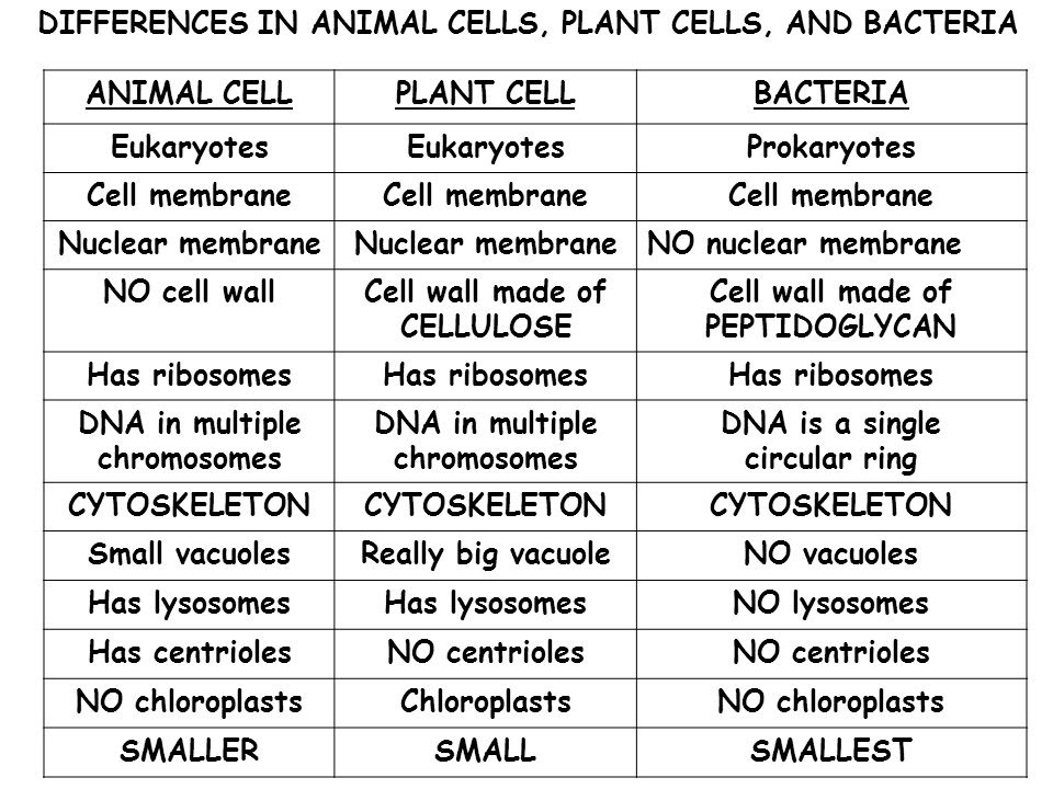 Check spelling or type a new query. Homework Assignments Outputs Biological Science Class Kjn
