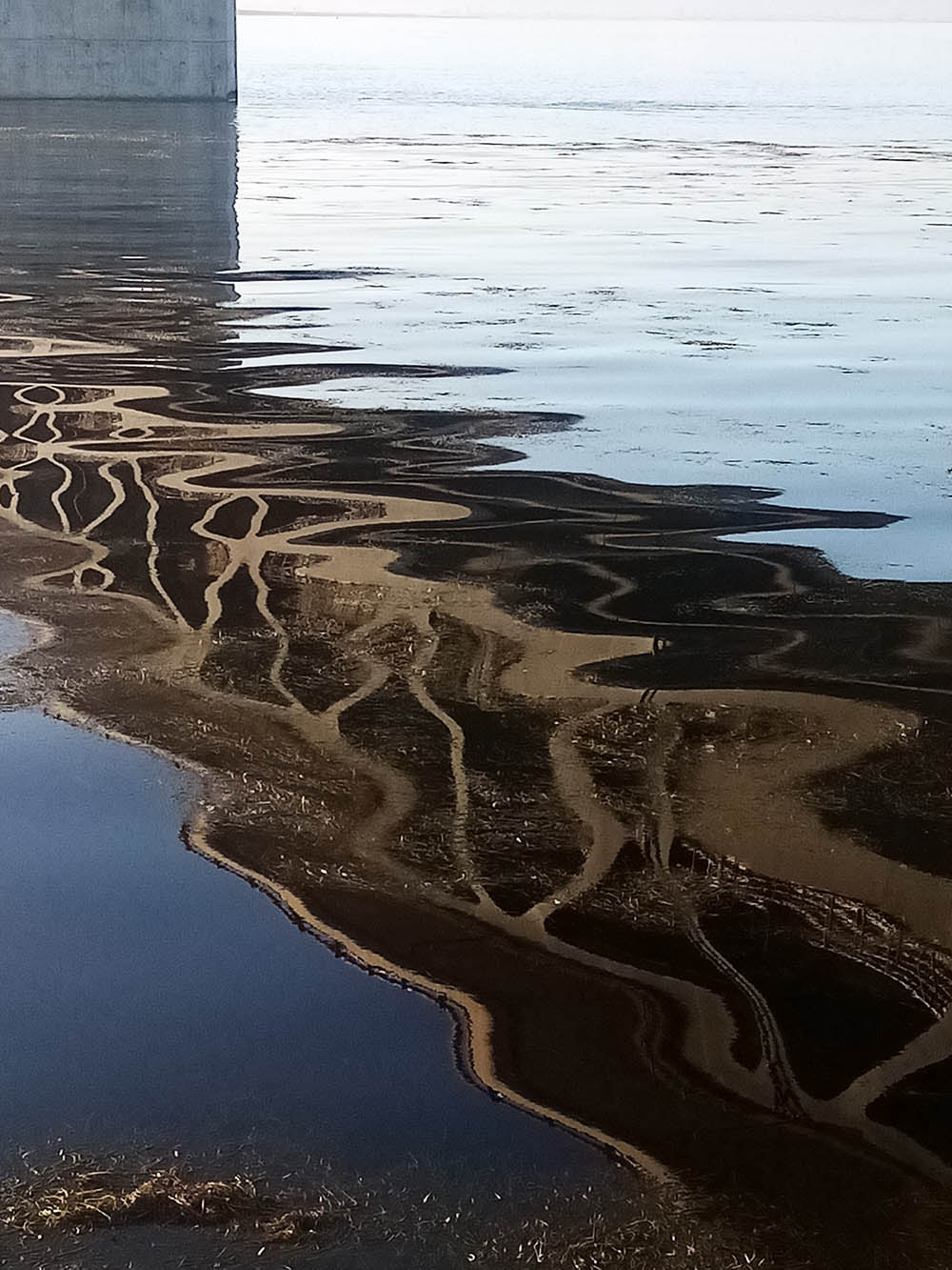 Oresundsbron öresunds bron vid solnedgången. Oresundsbron