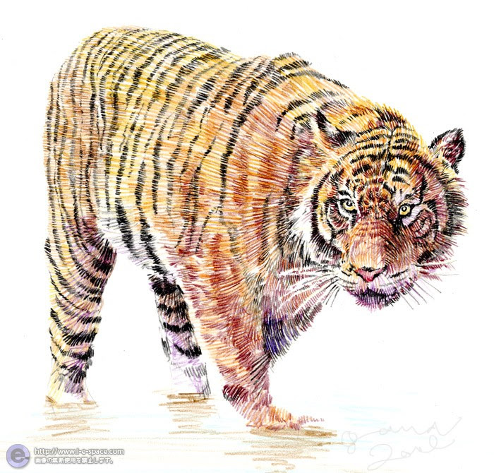 選択した画像 虎 画像 イラスト 虎 画像 イラスト Airjpgazo