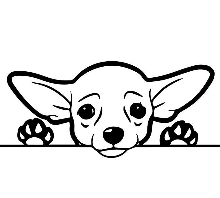 Chihuahua Head Outline Pets Lovers