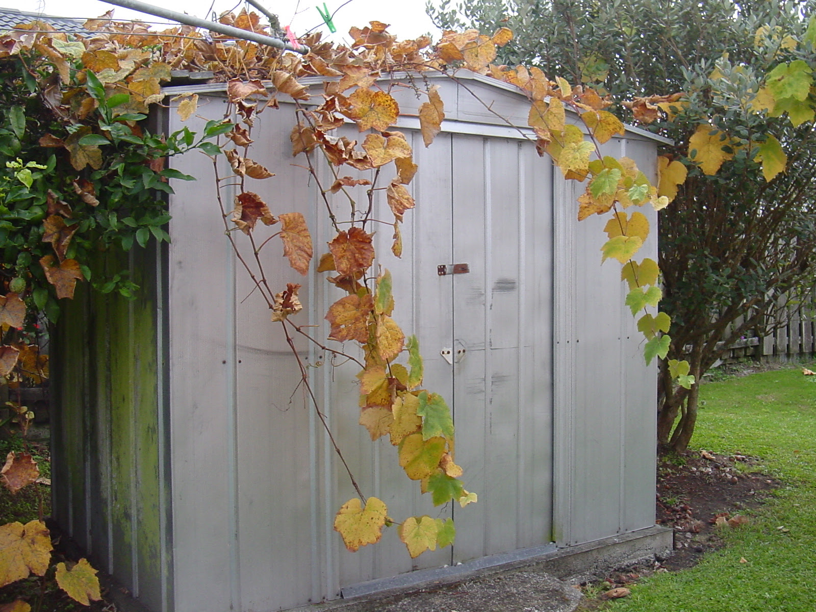 tanda keren: build a shed loft