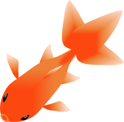 いろいろ イラスト 金魚 綺麗 金魚 綺麗 イラスト 壁紙 ブラッククローバー アニメ画像