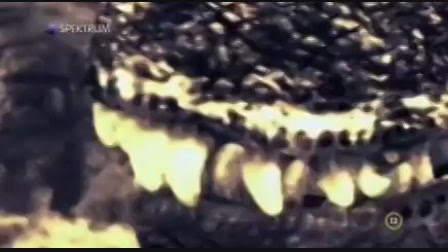 A Retteges Arenaja Elozetes Elozetes Trailer Videa Retteges arenaja a videókat megnézheted vagy akár le is töltheted, a letöltés nagyon egyszerű, és a legtöbb készüléken működik. videa