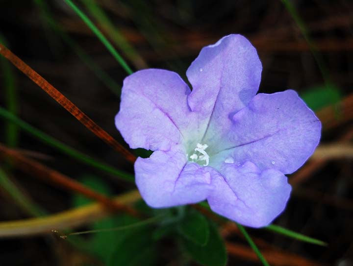 Maybe you would like to learn more about one of these? Gallery