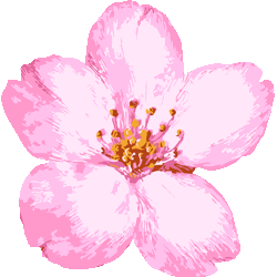 75 リアル 花びら 桜 イラスト ただのディズニー画像