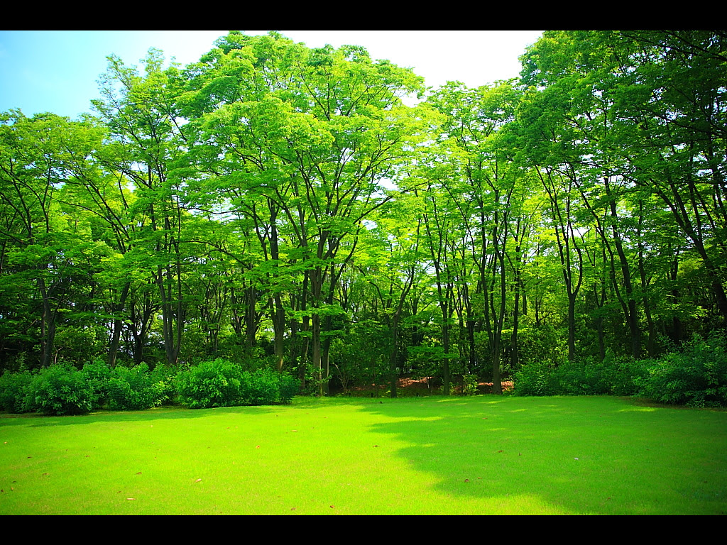 50 日本 庭園 壁紙 Jpbestwallpaper