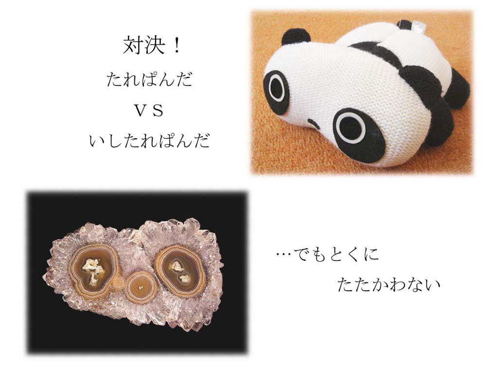 ロイヤリティフリー たれぱんだ 壁紙 最高の選択されたhd壁紙画像