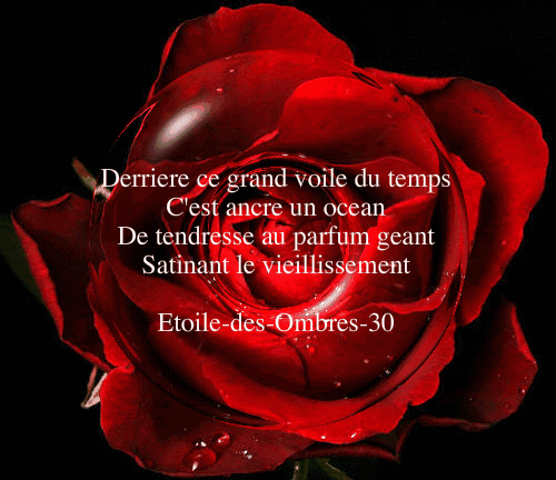 Haut Pour Bonjour Gif Amour Tendresse Abdofolio