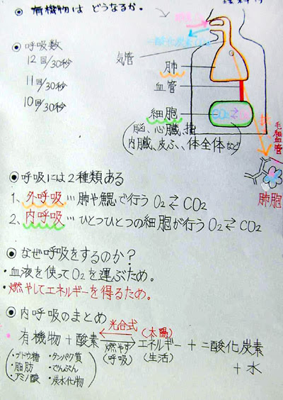 驚くばかり6年 理科 人や動物の体 プリント 最高のぬりえ