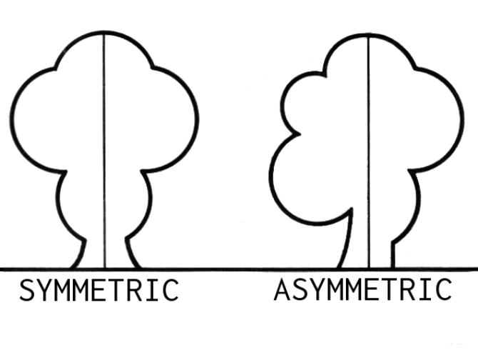 Contoh Gambar  Keseimbangan Simetris  Dan Asimetris Update 