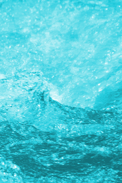 元のかっこいい 水 壁紙 花の画像