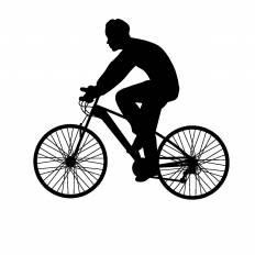 美しい花の画像 トップ100シルエット 自転車 イラスト 無料