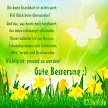 Alles Gute Für Die Op Sprüche