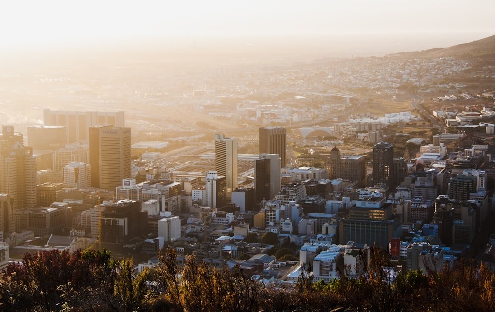 forex trading south africa johannesburg
