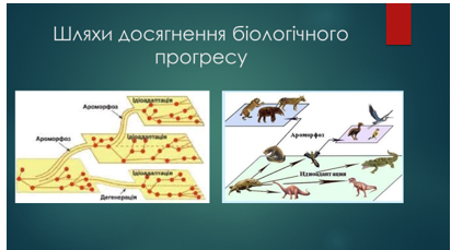 Картинки по запросу "світоглядні та наукові погляди на походження та історичний розвиток життя"