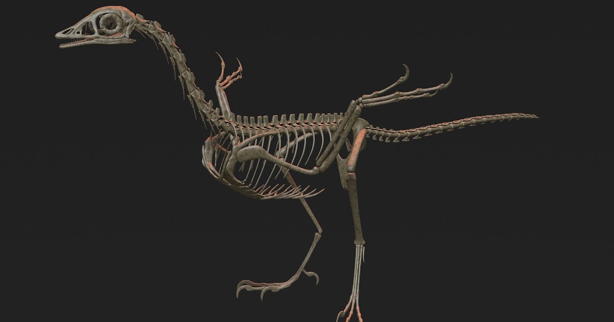 Dinosour Bones 2D : Triceratops Big Image Png Dinosaur 2d ...