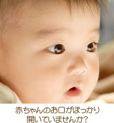 最も欲しかった 赤ちゃん 鼻 大きい 2635 赤ちゃん エコー 鼻 大きい Imagejoshzft