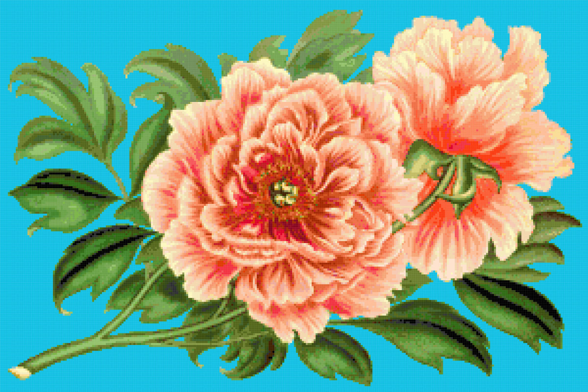 In three simple steps you will transform a picture into a beautiful cross stitch chart. Peonies Free Cross Stitch Pattern Better Cross Stitch