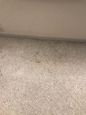 浴室 床 黒ずみ クエン酸 Interior