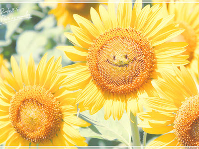 25 ひまわり 可愛い 画像 ひまわり 可愛い 画像