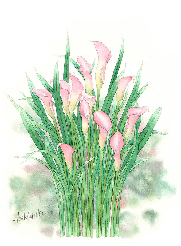 Hd限定カラー 花 イラスト ディズニー画像のすべて