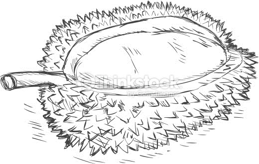 We did not find results for: Free Durian Cliparts Download Free Durian Cliparts Png Images Free Cliparts On Clipart Library