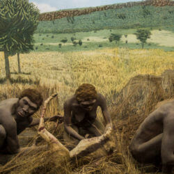 butchering scene nairobi national museum ninara cc x x