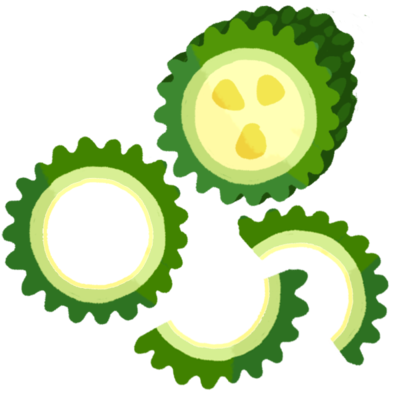 美しい花の画像 綺麗な野菜 断面 イラスト 無料